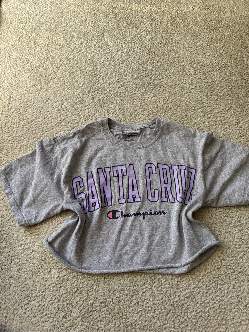 Champion Gray Crop Tee with Purple Santa Cruz Lettering y2k